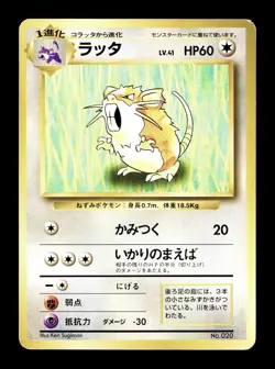 [MP] Raticate No Rarity Symbol Japanese Base Set No 020 Pokemon 1996 - Image 1