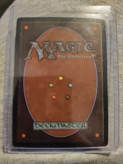 Onslaught Flooded Strand Regular MTG Card 316 - Image 2