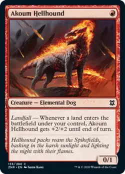Akoum Hellhound - Zendikar Rising - English - NM - MTG - Image 1