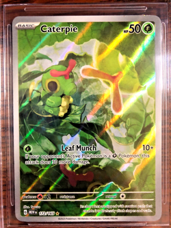 Caterpie Illustration Rare #172 - BGS MINT 9 - Scarlet & Violet 151 - Pokemon - Image 2