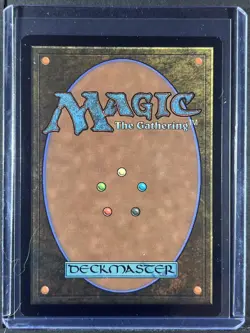 Shelter JPN #1587 Secret Lair Drop Series 250001 - Image 2