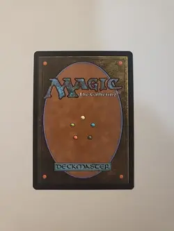 MTG - NM - Floodfarm Verge (Borderless) - Duskmourn (DSK) - #330 - Regular - Image 2