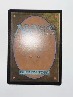 Snapcaster Mage (Borderless) (Chocobo Track Foil) Final Fantasy - M 0469 - Image 4