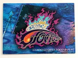 Final Fantasy X 10 Art Museum Trading Card no.482 Guado Glories Logo and Flag - Image 2