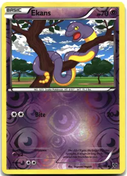 Pokemon Ekans REVERSE HOLO Common XY Base Set 47/146 MP - Image 1