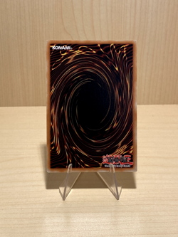 Yugioh / Serpent Night Dragon / SRL-EN103 / Secret Rare - Image 2