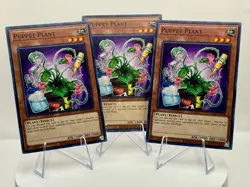 Puppet Plant x3 - OP24 - Common - Image 1