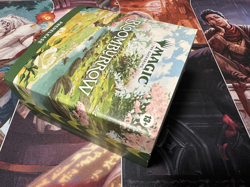 MTG Bloomburrow PRE-RELEASE Kit, English Magic The Gathering - Image 4