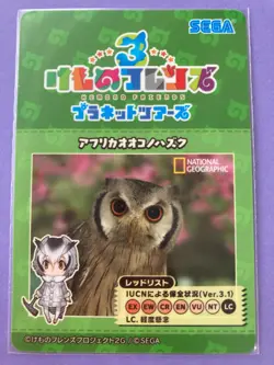 Kemono Friends Card Serval Japanese Anime SR very rare F/S c - Image 4