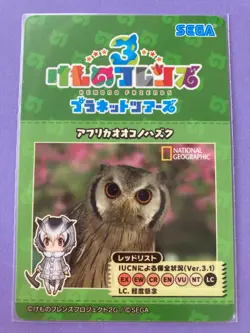 Kemono Friends Card Serval Japanese Anime SR very rare F/S c - Image 5