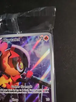 Pokemon Phantasmal Flames Charcadet 022 Pokemon Center Stamped Promo Sealed - Image 5