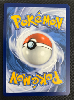 Dondozo 207/198 Sv01: Scarlet & Violet Base Set Illustration Rare Pokemon TCG NM - Image 2