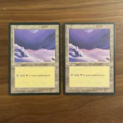 Snow-Covered Plains LP (x2) Ice Age 1995 Magic the Gathering Card MTG TCG - Image 1