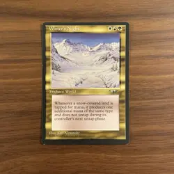 Winter's Night VLP Alliances 1996 Mtg Magic the Gathering TCG - Image 1