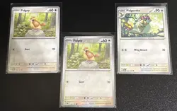 Pokemon TCG Obsidian Flames Pidgey/Pidgeotto 3 Card Lot - Image 1