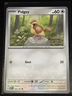 Pokemon TCG Obsidian Flames Pidgey/Pidgeotto 3 Card Lot - Image 2
