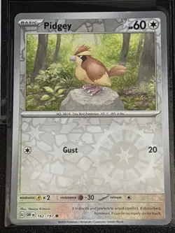 Pokemon TCG Obsidian Flames Pidgey/Pidgeotto 3 Card Lot - Image 3