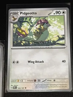 Pokemon TCG Obsidian Flames Pidgey/Pidgeotto 3 Card Lot - Image 4