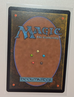 MTG - Final Fantasy / FF - Choco, Seeker of Paradise 569 - Chocobo Track Foil - Image 2