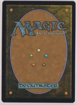 MTG Overgrown Farmland (Borderless) Innistrad: Midnight Hunt Foil - Image 2