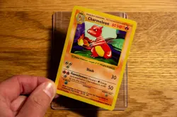 Charmeleon 024/102 Base Set Shadowless Uncommon - English Vintage Pokemon - Image 3