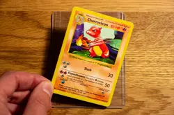 Charmeleon 024/102 Base Set Shadowless Uncommon - English Vintage Pokemon - Image 4