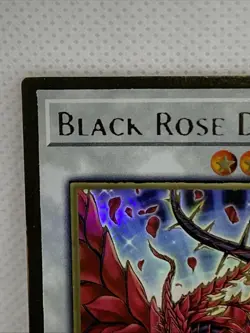 YU-GI-OH! Black Rose Dragon Super Rare Gold / Error Card MGED-EN026 NM - Image 3