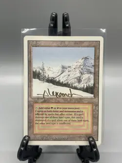 MTG Taiga Revised LP Autographed - Image 1
