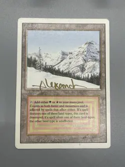 MTG Taiga Revised LP Autographed - Image 3