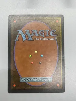 MTG Taiga Revised LP Autographed - Image 4