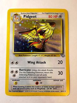 RARE Pokemon TCG Pidgeot Holo Rare Card 8/64 Jungle Unlimited Vintage - Image 1