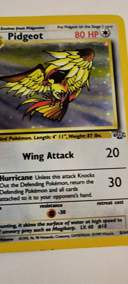 RARE Pokemon TCG Pidgeot Holo Rare Card 8/64 Jungle Unlimited Vintage - Image 2