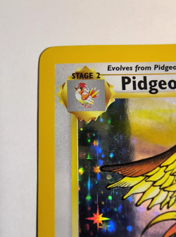 RARE Pokemon TCG Pidgeot Holo Rare Card 8/64 Jungle Unlimited Vintage - Image 3