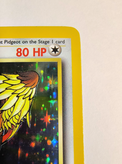 RARE Pokemon TCG Pidgeot Holo Rare Card 8/64 Jungle Unlimited Vintage - Image 4