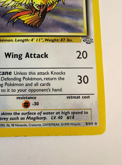 RARE Pokemon TCG Pidgeot Holo Rare Card 8/64 Jungle Unlimited Vintage - Image 5