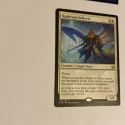 MAGIC THE GATHERING RIGHTEOUS VALKYRIE KALDHEIM #024 NM-LP MTG - Image 4