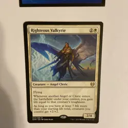 MAGIC THE GATHERING RIGHTEOUS VALKYRIE KALDHEIM #024 NM-LP MTG - Image 5