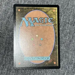 MTG Vivi Ornitier (Borderless) (Chocobo Track Foil) Final Fantasy Foil M 0570 - Image 2