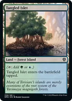 Tangled Islet 258 MTG Dominaria United Land NP - Image 1
