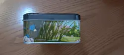Magic the Gathering MTG Bloomburrow Tin *EMPTY* (NO CARDS) - Image 2