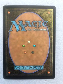 Mtg Carte Magic Secret Lair Sponge Bob Sandy Cheeks Toski Bearer FOIL NM - Image 2