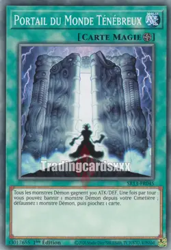 Yu-Gi-Oh! Portail du Monde Tenebreux : C SR13-FR045 - Image 1