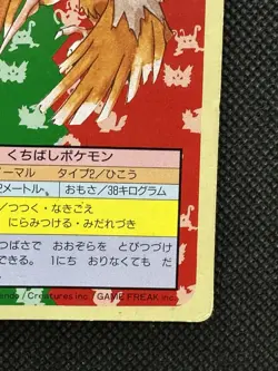 Pokemon Card Japanese Fearow No. 022 Top sun Topsun Nintendo 1995 Green Back - Image 4