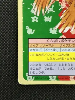Pokemon Card Japanese Fearow No. 022 Top sun Topsun Nintendo 1995 Green Back - Image 5