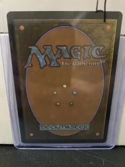 MTG TCG Shipwreck Marsh (Borderless) Land Innistrad: Midnight Hunt Regular - Image 2