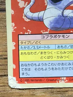 Pokemon Carddass Card Topsun No. 24 Arbok Pocket Monsters Green Back - Image 5
