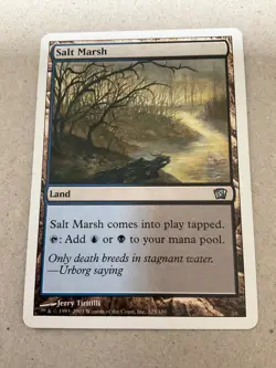 Land Card *YOU PICK* Magic the Gathering Card - Image 3