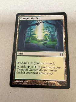 Land Card *YOU PICK* Magic the Gathering Card - Image 5