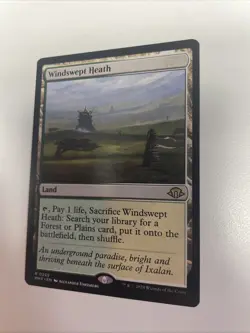 Windswept Heath Modern Horizons 3 - Regular - Pack Fresh Near Mint Free Shipping - Image 2