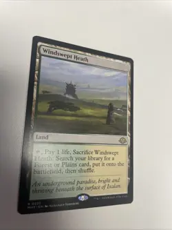 Windswept Heath Modern Horizons 3 - Regular - Pack Fresh Near Mint Free Shipping - Image 3